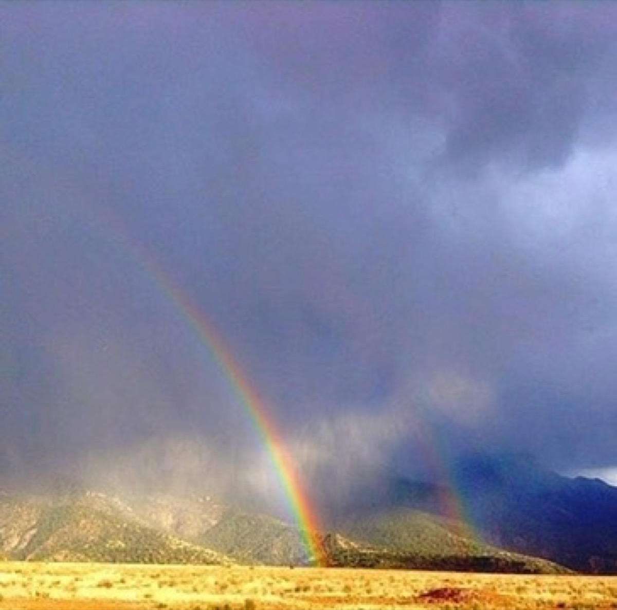Rainbow — Album Art